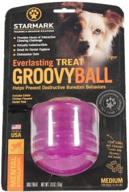 Starmark Everlasting Treat Groovy Ball Medium