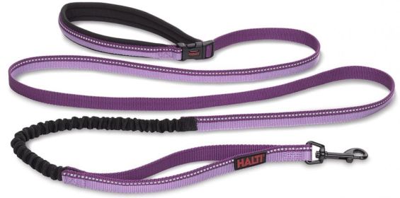 Company of Animals Halti All In One Lead for Dogs Purple (size: large)