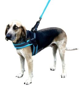 Sporn Easy Fit Dog Harness Blue (size: X-Large 1 count)